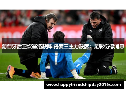 葡萄牙后卫坎塞洛缺阵 丹麦三主力缺席：足彩伤停消息